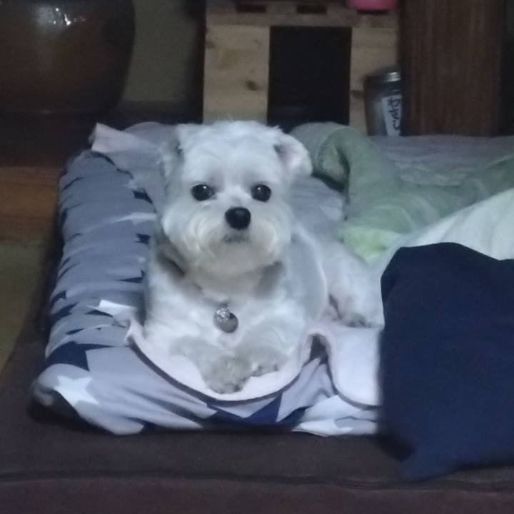 64399f5d 7879 44b6 9f30 b89ce8024e11 1692444704486