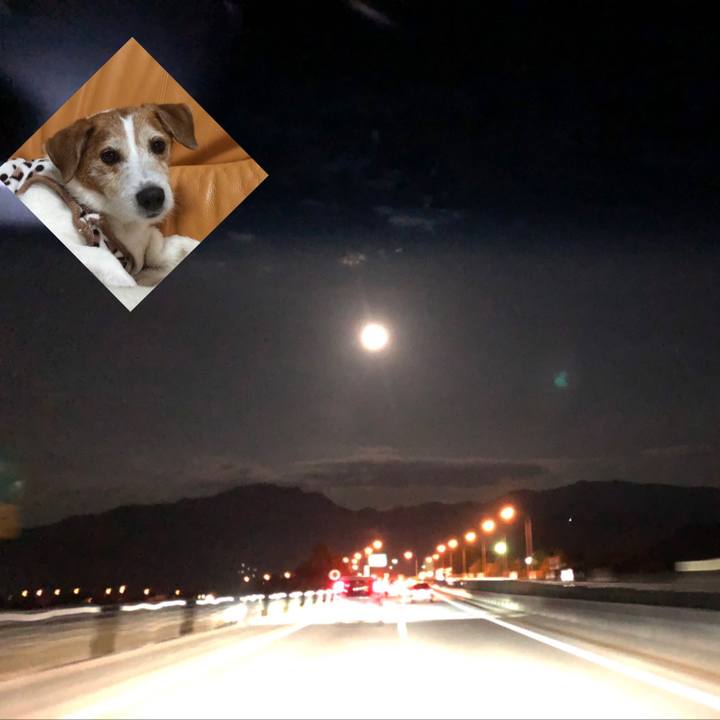 6439d9a6 e9d4 4ec1 8112 dc17544fbe94 1573480443710