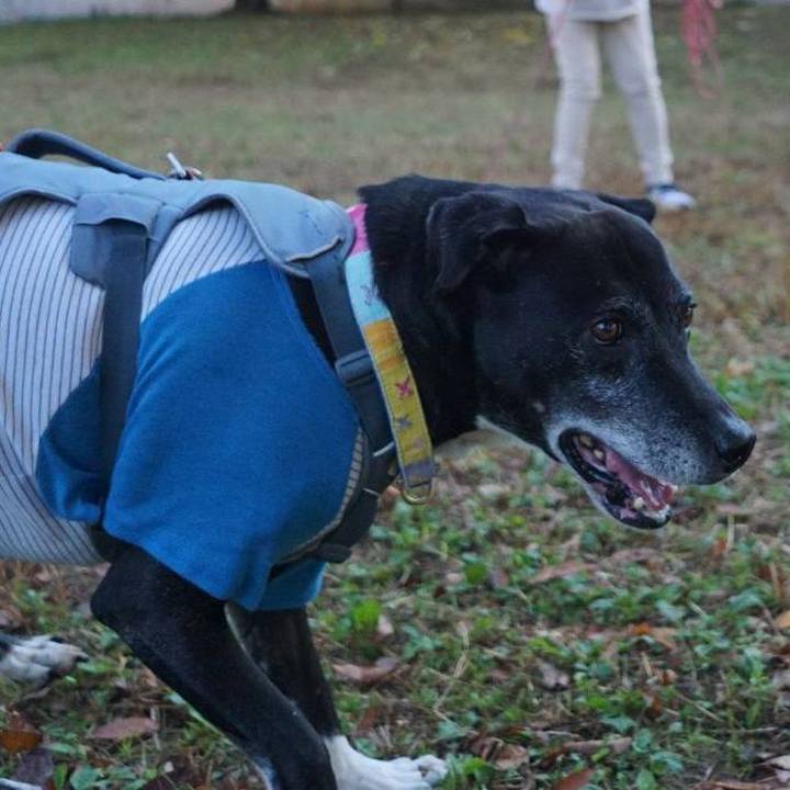 6439db47 3542 479e bc9f bdebdb593fa0 1763336815598