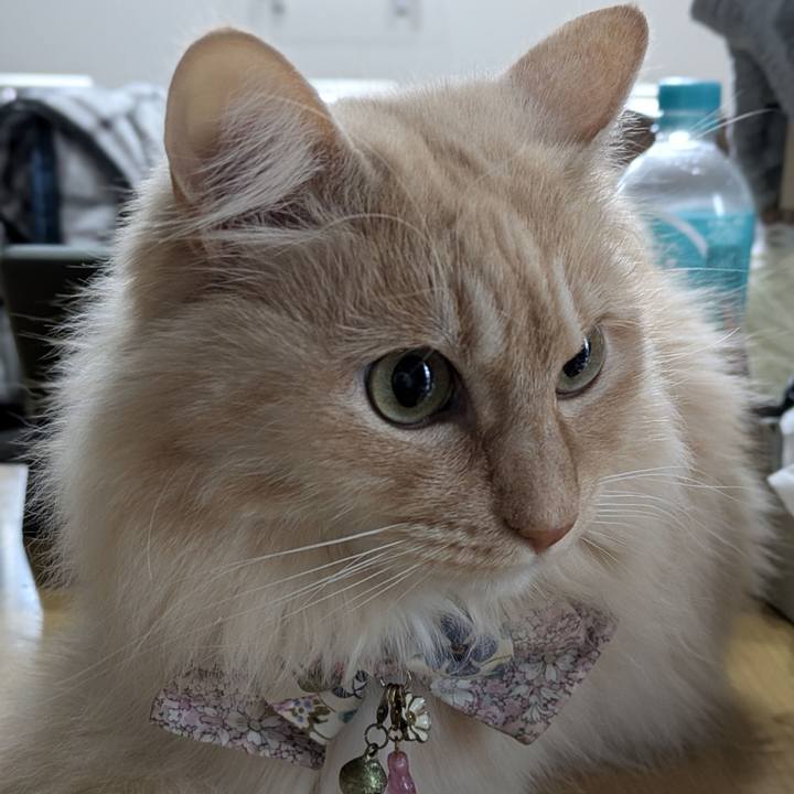 6439feb1 b556 4c4f 8cd5 f60cfadf21be 1768876585408