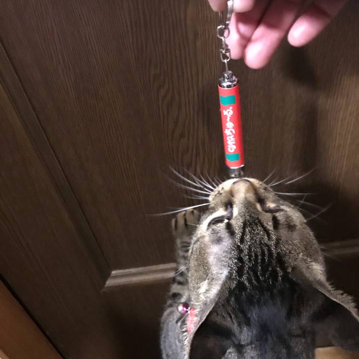 643a12ad a3f5 4f50 b07f a4523ed44313 1546524493805