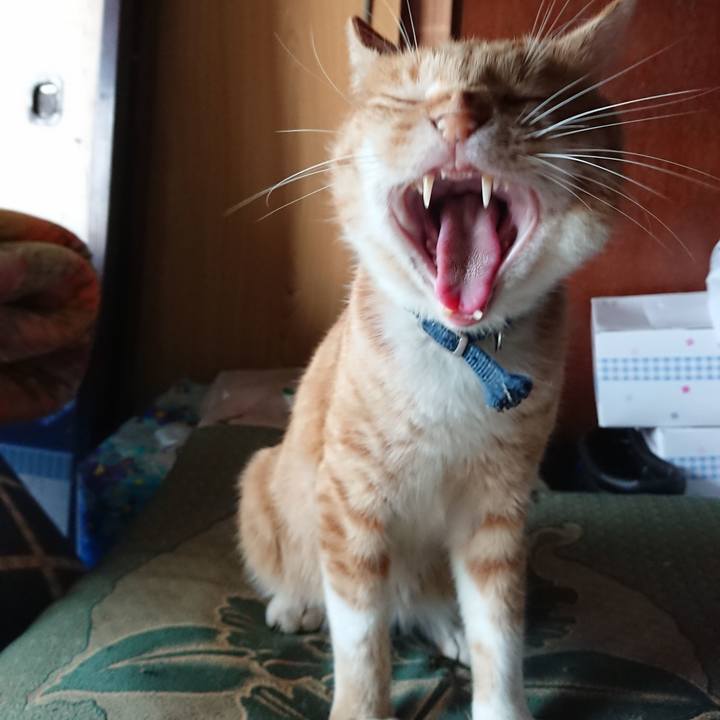 643a682a 6d45 4066 ba2d 0f3d29cec112 1566721054071