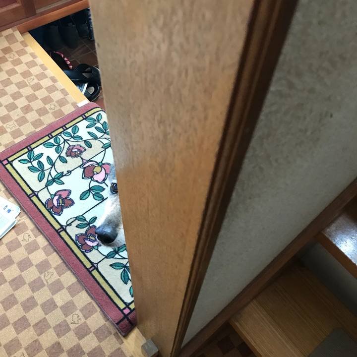 643a9deb ef29 4643 8012 a2b9f9c05a95 1531780385272