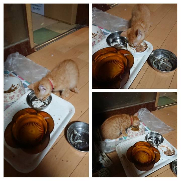 643acd16 366b 4208 a96c fb2935443b35 1630832822783