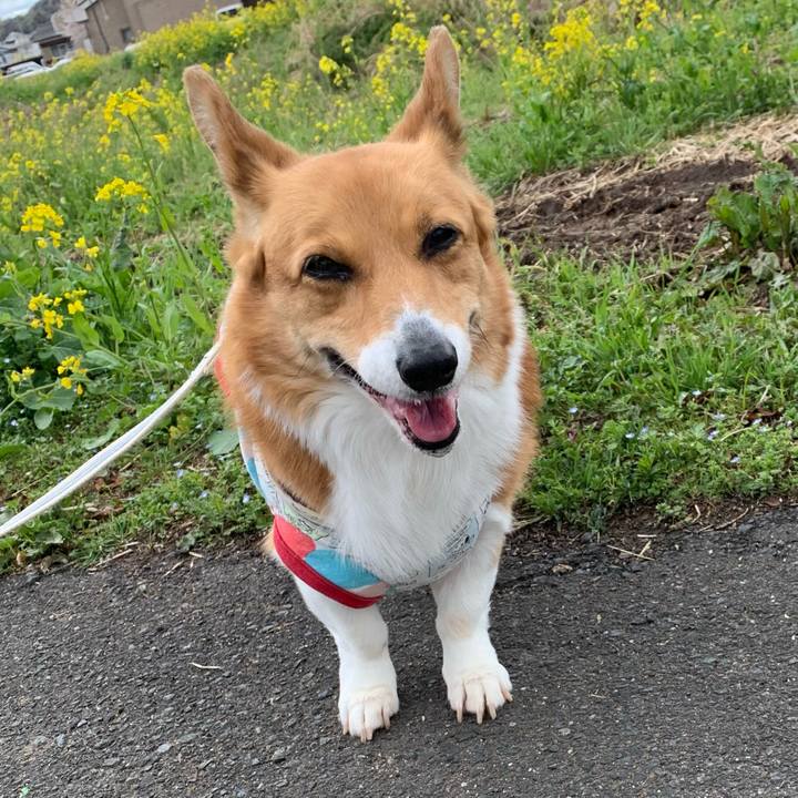 643af1a2 5b43 483e 8380 f527601e22fb 1649129104831