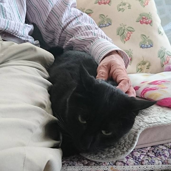 643b2bf7 db1d 4848 a7a8 5a1c798515fe 1525234906169