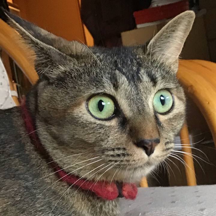 643b4a0d 1029 47ba bc53 426a47776bb6 1600504808798