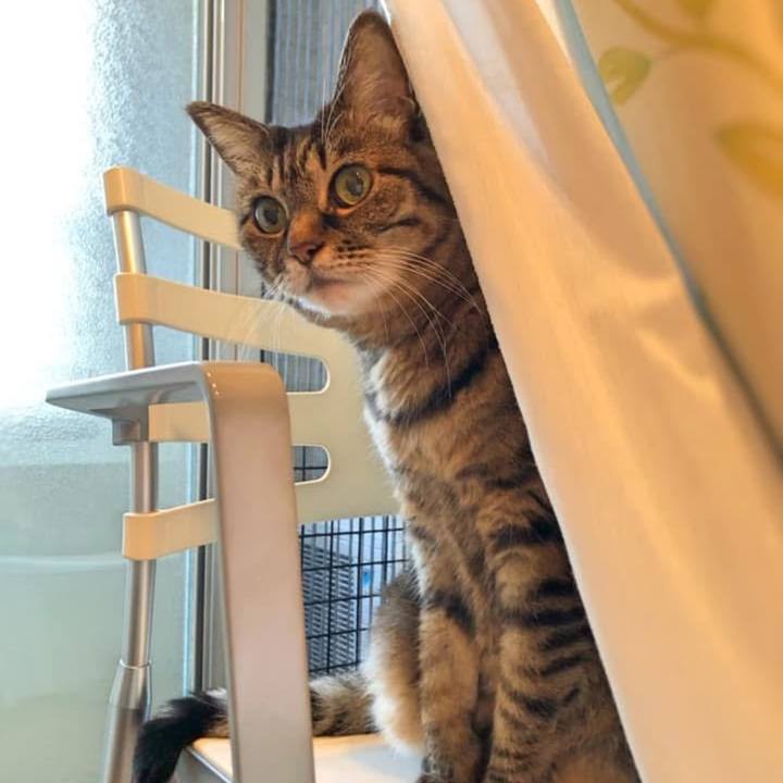 643b525a 74d2 4369 8f38 17f51b1138ca 1759752889201