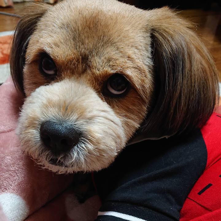 643b7205 8d86 49fa a844 67c6c2c4a9cd 1552138787982