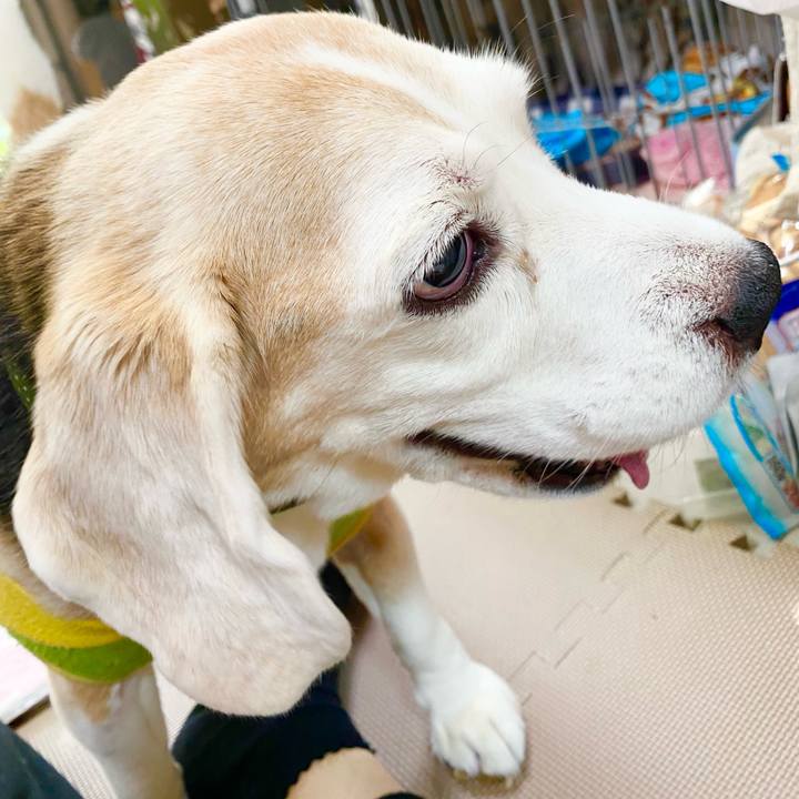 643b72a3 6873 4cc9 8b8d f36aaad27edd 1667620350573