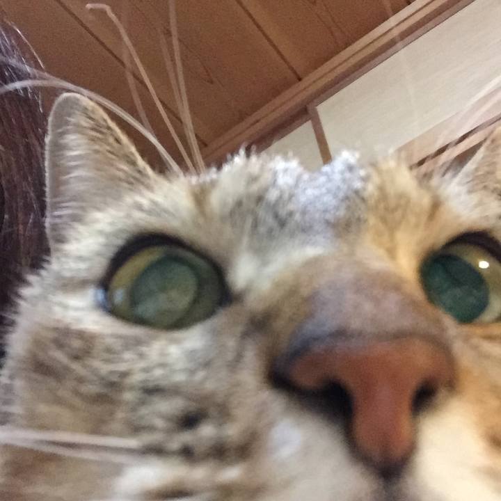 643b9972 30ae 4bee ab2f 4080291a577c 1541367136702