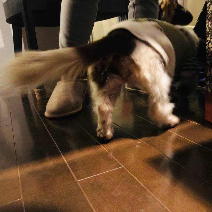 643b9c23 bf74 40d3 9b73 d65fb8f1a85a 1548627428037