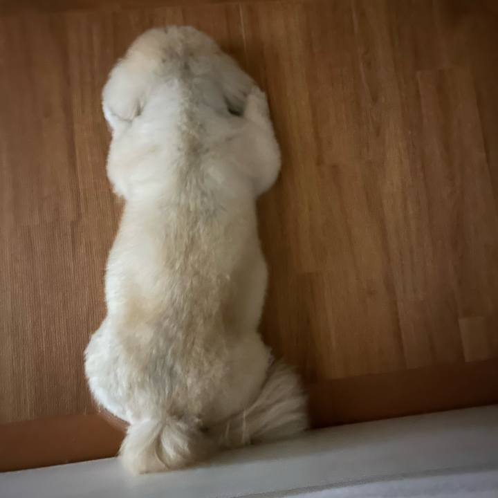 643bb2ae 84c7 40f7 b511 2d2bb0446ce8 1752536707892