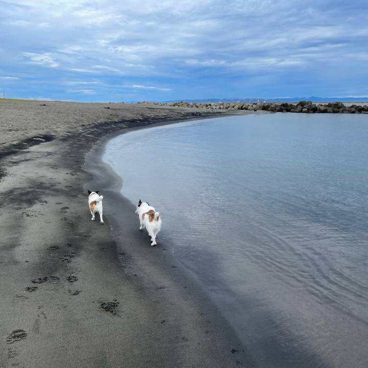 643bc166 42cf 4116 8fdd 570081c24511 1724973187138