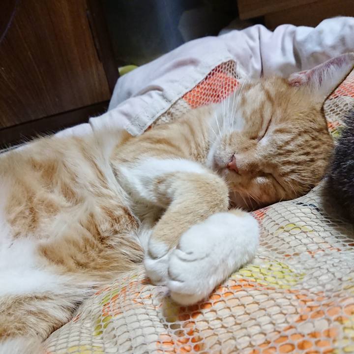 643bf9a3 4fe6 461e 8fcc 9f7a071e5259 1570623460688