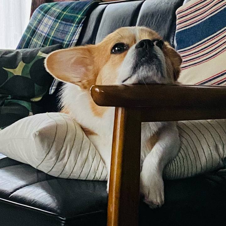 643c1786 7f20 45f1 9349 cc201a806a7d 1630625092583