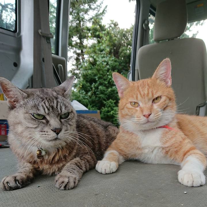 643ca547 2c4f 4c82 b0e8 3b637091aa62 1569221119272