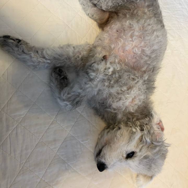 643cbcf5 852b 49c9 be7e b6e146ec7dd1 1593475819152