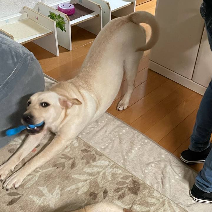 643cca76 1428 42a9 9c04 11c193caaebc 1642112114524