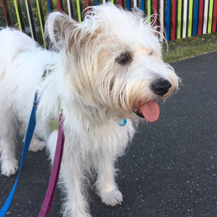 643cd414 3f95 425b 8d66 dcd28bd1236a 1574589595540