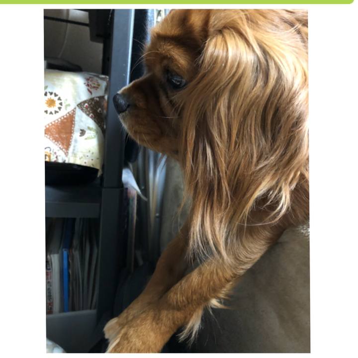 643d01e9 a6da 479a b65b 0ea9ba202aeb 1552515948743