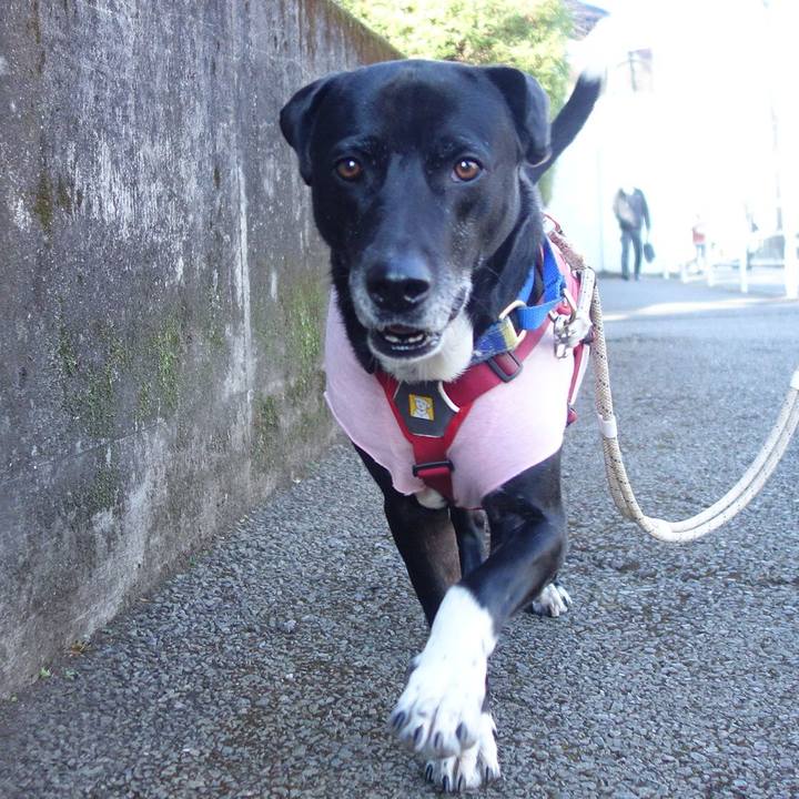 643d142b 71a5 485b 9544 cc0836c9ac10 1676860117975