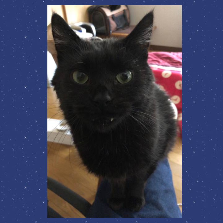 643d32d4 5d33 435f aba4 d9e3870f4f97 1620114375456