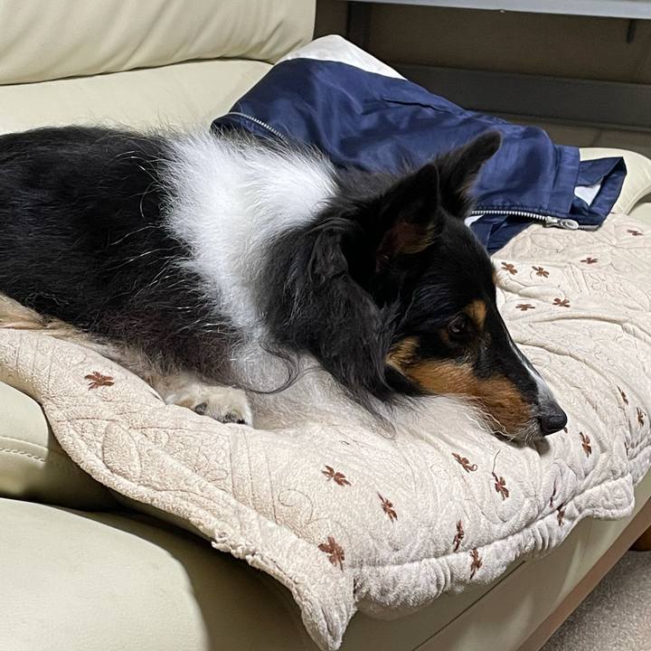 643d43c0 3ccd 4664 815a 6765a00bf899 1636582726610