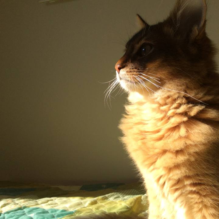 643d6aab 51e7 4b9d 9537 b667b8ec310f 1575856221411