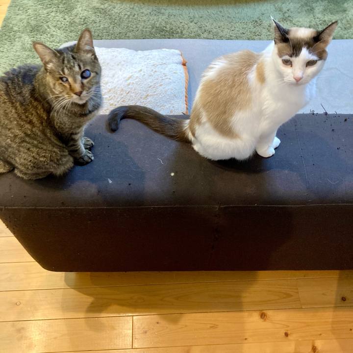 643d773c 0f7e 40c5 ba77 20ae709d6fd5 1644107684596