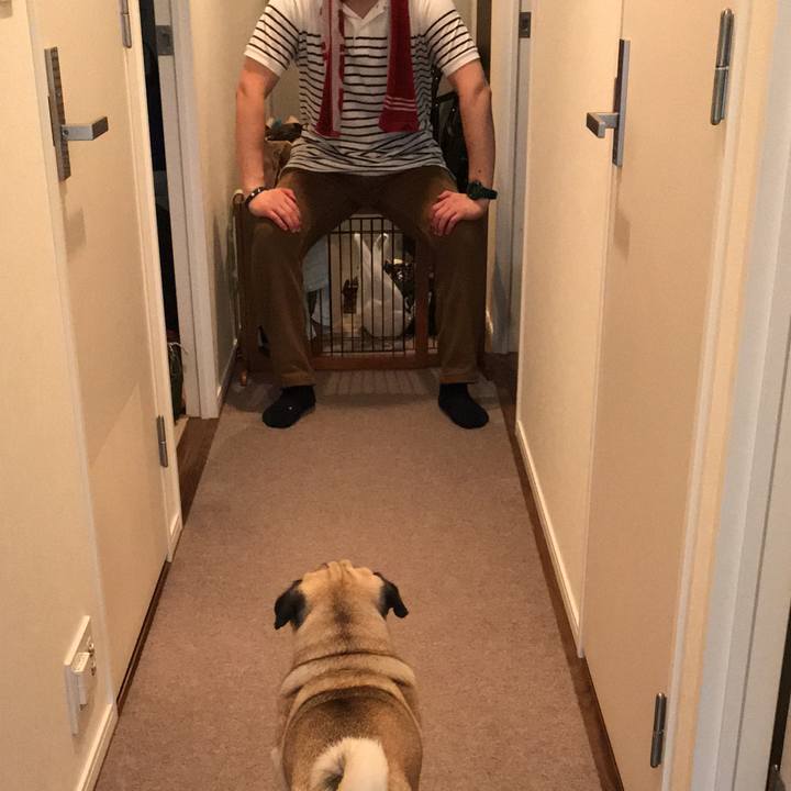 643d7d0a 2897 4d55 b440 42bba37c05eb 1565764561352