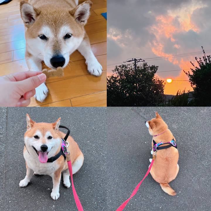 643e170f 1641 4751 9dc3 4e3095f1b349 1687686606753