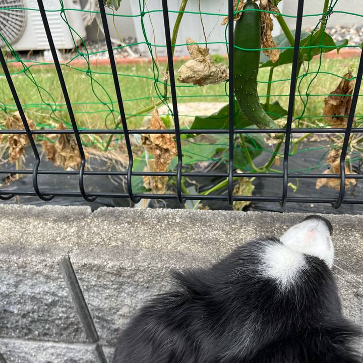 643e42b7 fa5d 486f b29c d102f812a5f7 1761097429624