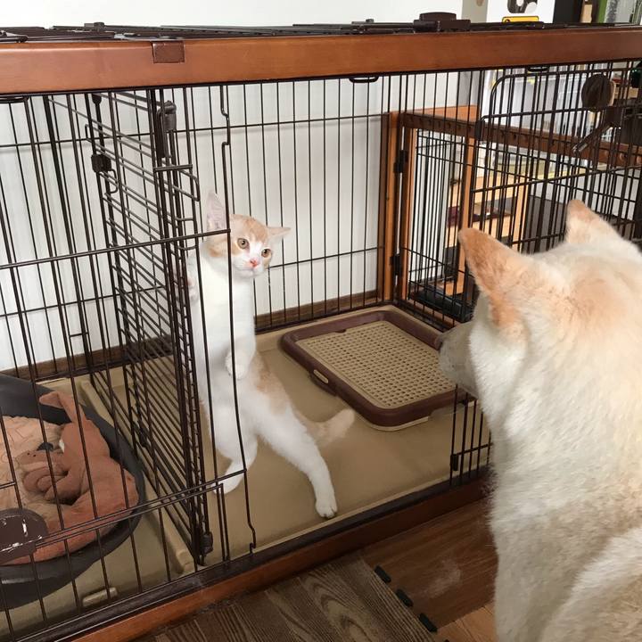 643e5f05 fa1e 4c80 b39d 36d62acb071a 1593254980446