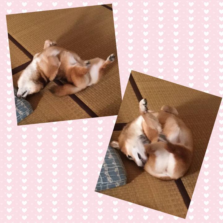 643e5f47 6eea 4fa8 bb25 b6c1998e76e3 1565391649693