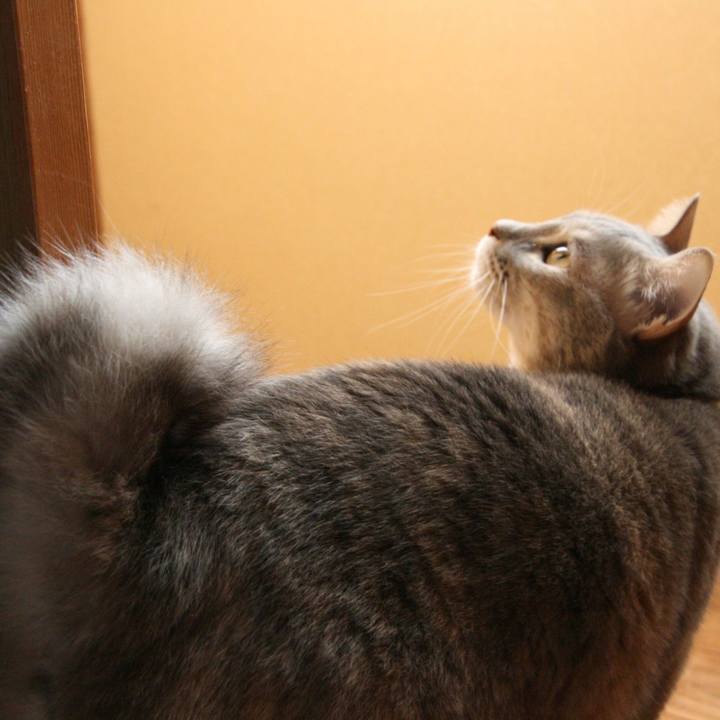 643e6aae f44b 48cc 803d 3b6d50e5e905 1509062696209