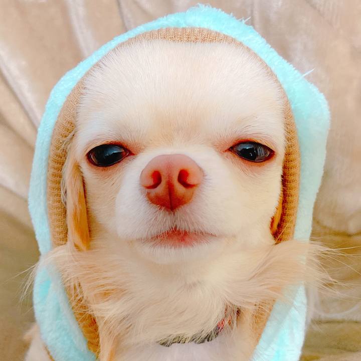 643e72f1 266c 4df7 bd34 5501c5bb6983 1638320125073