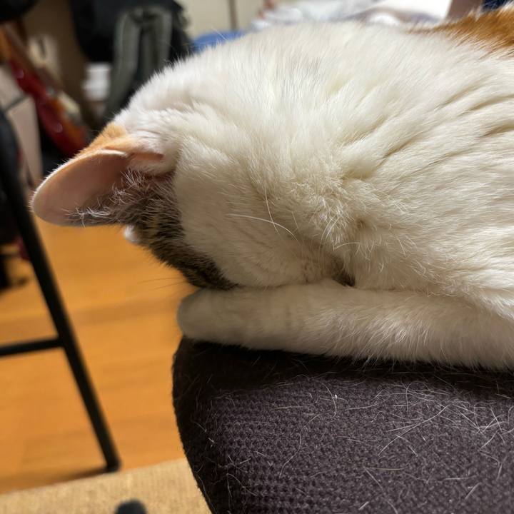 643ea29b cf7e 4ec1 8e3d 2a1f69e89c92 1749222793759