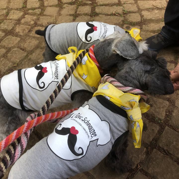 643eef58 38aa 4bb7 97af ca28a73b2421 1557638659098