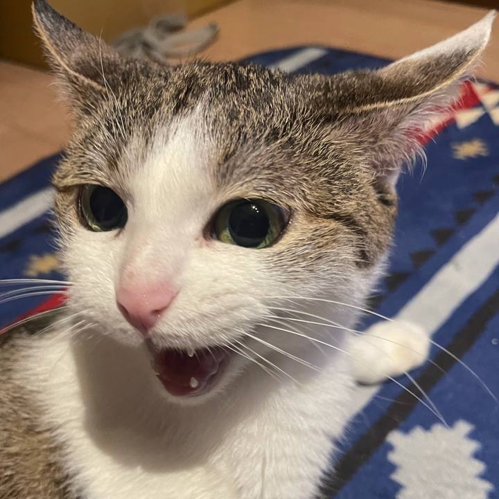 643f36c3 3aa8 4931 85bc c471e6b3340e 1623424500667