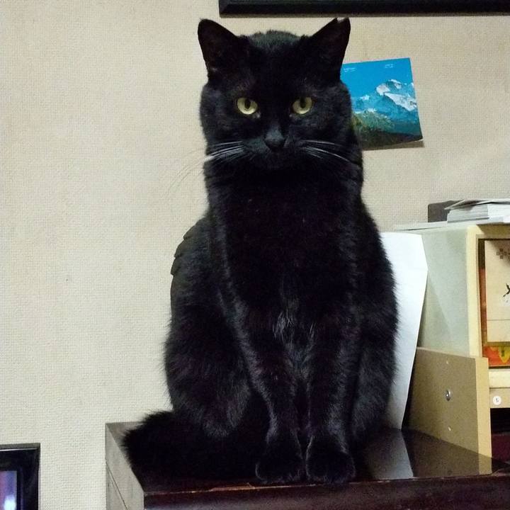 643f3921 37bd 45c2 80b4 642707cb2b0a 1611066534820