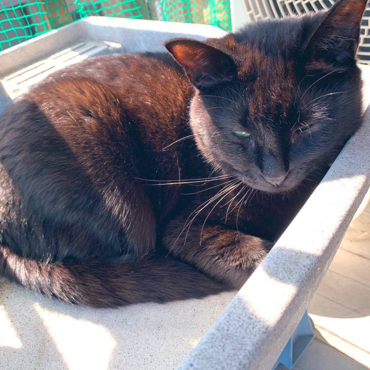 643f592b d781 4b19 a91a 4a93d0c436fe 1555459726857