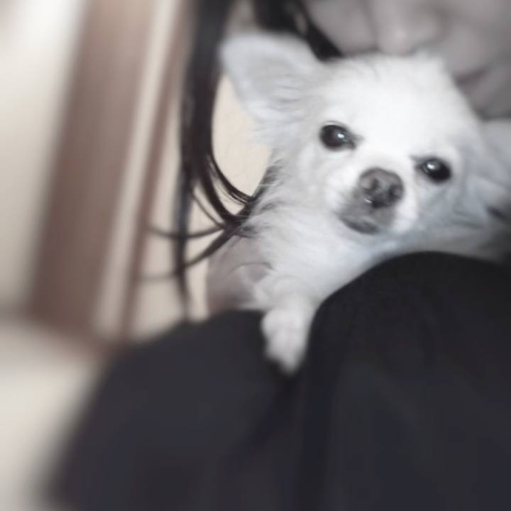 643f59af 2964 41c5 be19 68b695846506 1652984193670