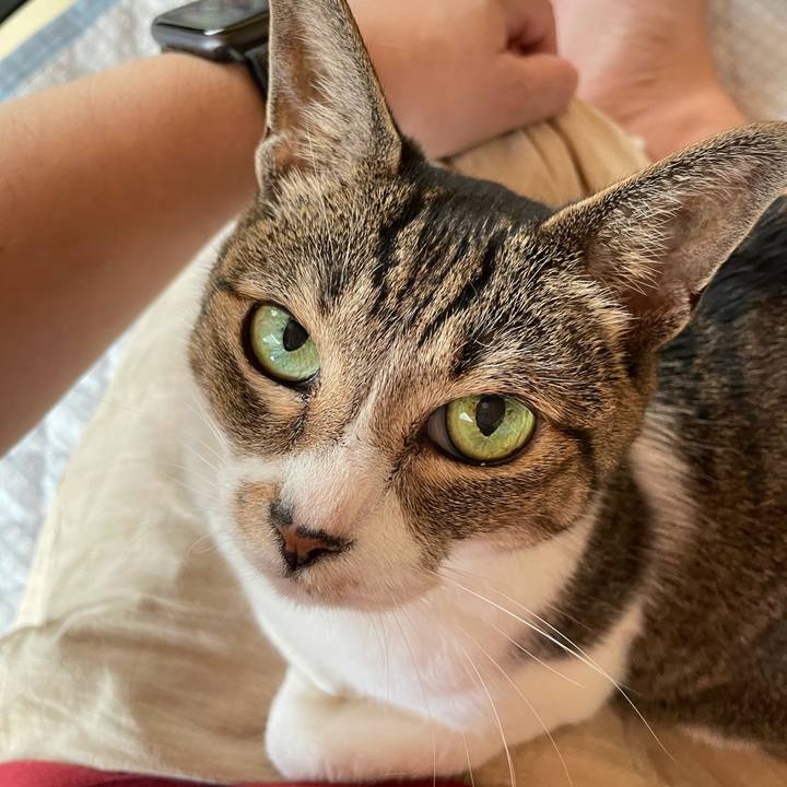 643f59da 3eb1 4e91 a607 7380416643bc 1627516923147