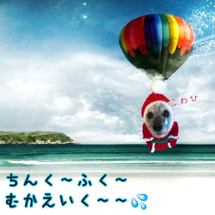 643f95d7 d927 4a41 b1eb 9ffd3aa89667 1513400978221