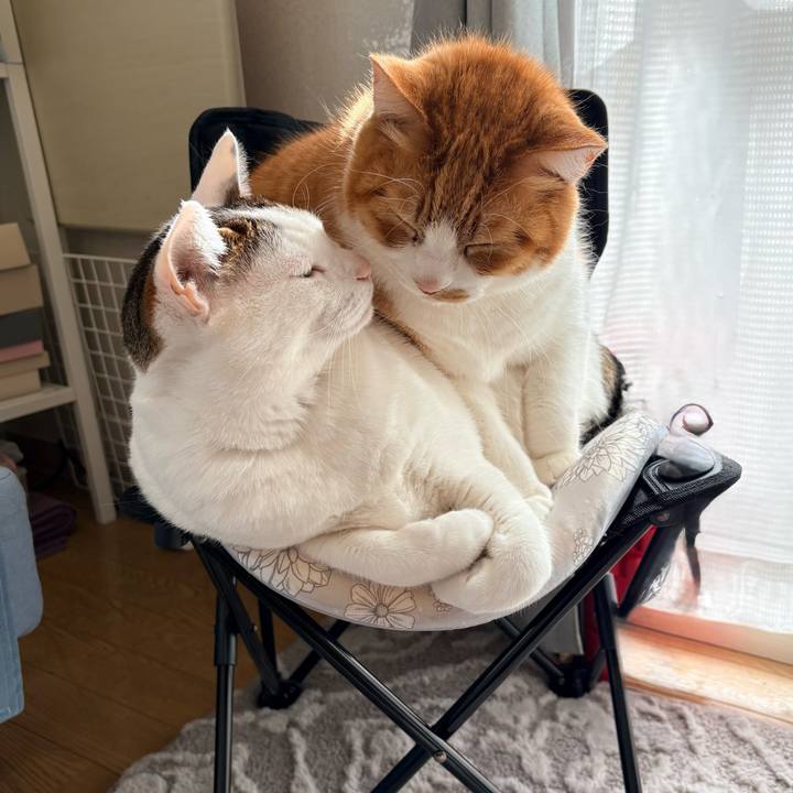 643fa88a a076 46bb ae1b 5bb6e911f6c2 1771568697431