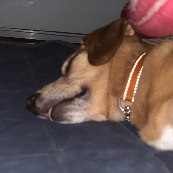 643fb6bb 3f8d 457f 87de 106f82bd7ed2 1574022151550