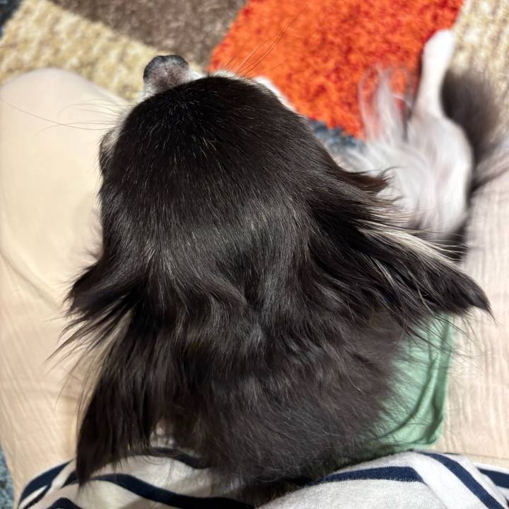 643fc16c 47b5 4575 b21f 159b090d9f93 1748795570770