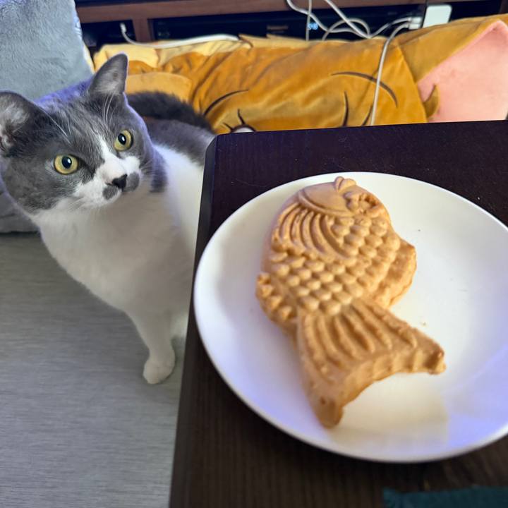 643fc93c edc9 4a1f 884e 2a60e796c661 1760165986968