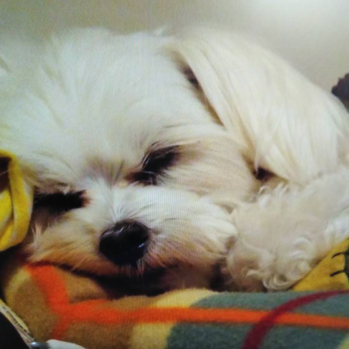 64404810 ef4e 4a47 a876 1103db81e3db 1557539926138